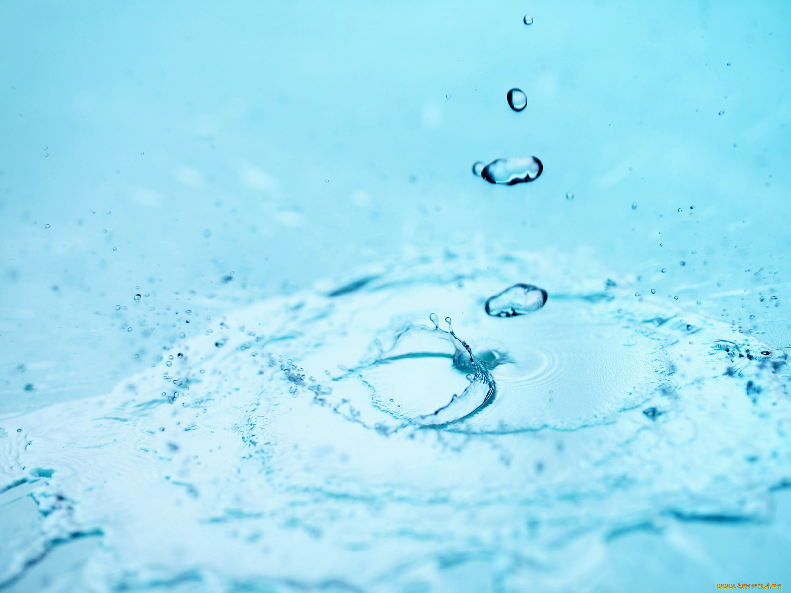 Водяные капли. Капля воды. Чистая вода. Брызги от капли воды. Капля воды брызги.